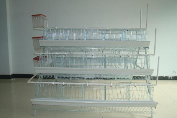 蛋雞籠市場價格多少錢一組 蛋雞籠買哪種好