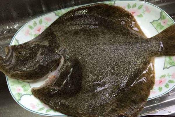 多寶魚有刺嗎 多寶魚刺多嗎