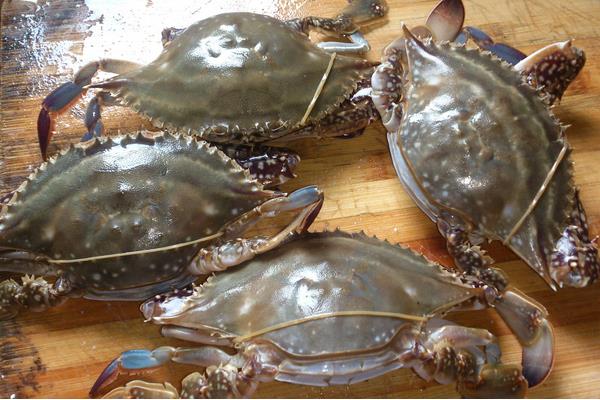 紅星梭子蟹市場價格多少錢一斤 紅星梭子蟹怎么吃