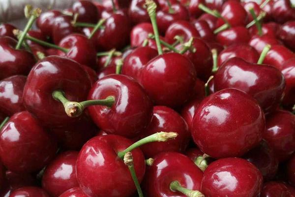 車厘子每天吃多少合適 車厘子吃多了會怎樣