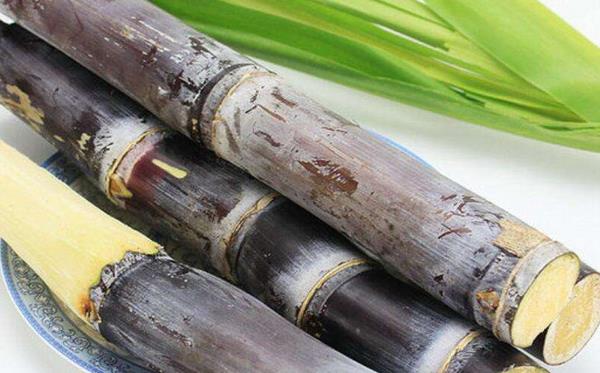 甘蔗什么時候成熟(幾月) 甘蔗什么時候種植