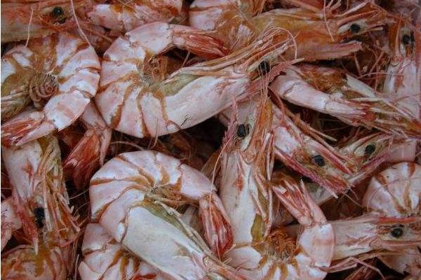 海蝦怎么清洗干凈 干海蝦怎么做好吃