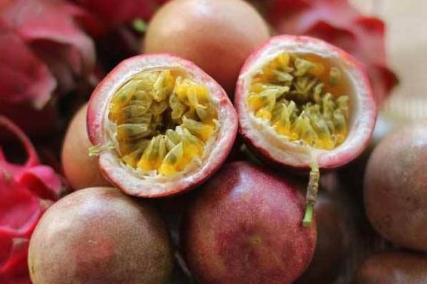 百香果圖片大全 百香果品種有哪些 百香果品種有哪些