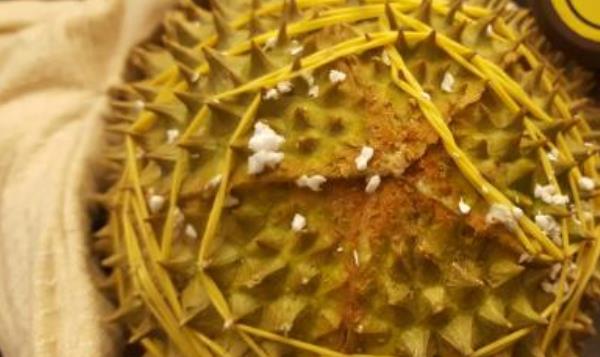 榴蓮圖片大全 榴蓮有哪些品種 什么榴蓮品種最好吃