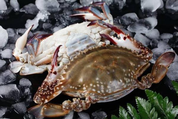 海蟹死了可以吃嗎 為什么海蟹那么空