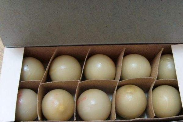 烏雞白鳳丸的功效與作用及禁忌 烏雞白鳳丸什么時(shí)候吃效果最好