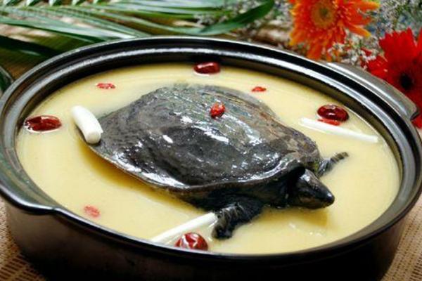 甲魚湯怎么做補(bǔ)腎 甲魚和什么燉最好