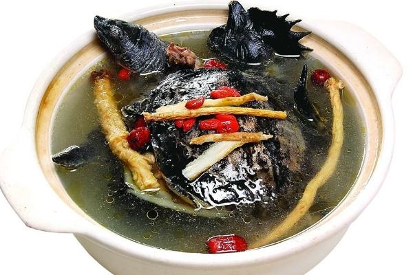 甲魚湯怎么做補腎 甲魚和什么燉最好