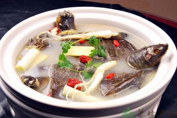 甲魚湯怎么做好吃又簡單 甲魚湯家常做法大全