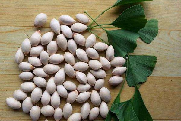 白果市場價格多少錢一斤 白果有什么好處