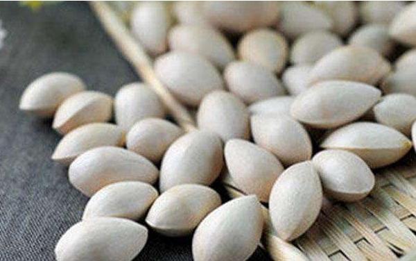 白果市場價格多少錢一斤 白果有什么好處