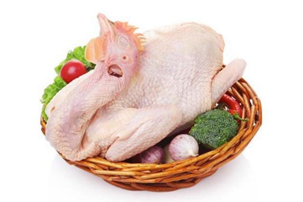 土雞怎么燉好吃又營養 土雞的家常做法大全