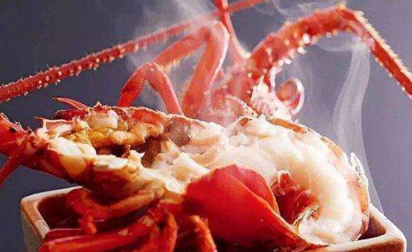 澳洲大龍蝦中國能養(yǎng)殖嗎 澳洲大龍蝦的養(yǎng)殖技術(shù)