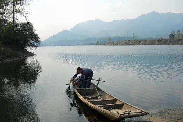 草蝦怎么養 草蝦養殖技術與注意事項