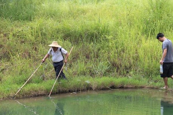 晚上電泥鰍黃鱔的技巧 電泥鰍黃鱔要多大功率
