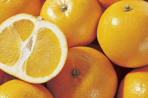 胡柚的功效與作用及禁忌 胡柚營養價值