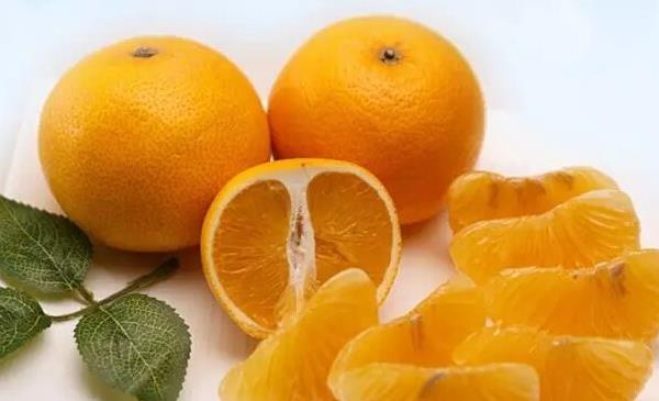 胡柚的功效與作用及禁忌 胡柚營養價值