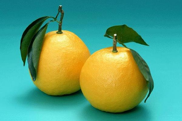 胡柚產地在哪里 胡柚怎么挑選