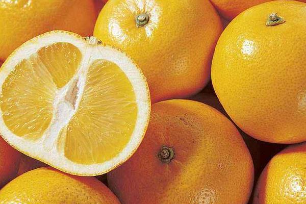 胡柚產(chǎn)地在哪里 胡柚怎么挑選