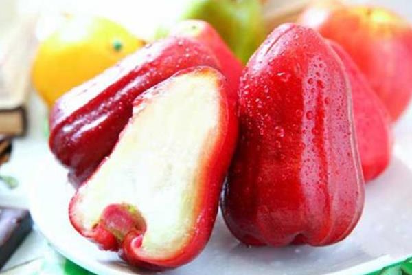 孕婦可以吃蓮霧嗎 蓮霧糖分高嗎