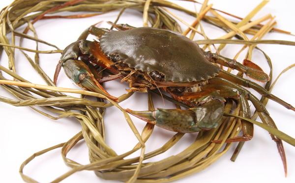 青蟹什么時候最肥 青蟹怎么洗干凈