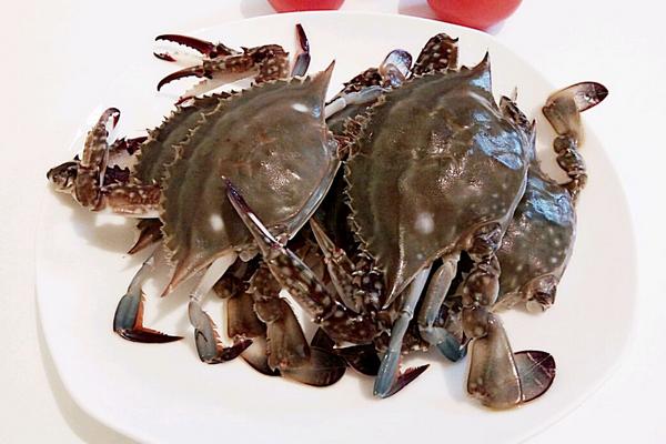 梭子蟹市場價格多少錢一斤 梭子蟹什么時候最肥