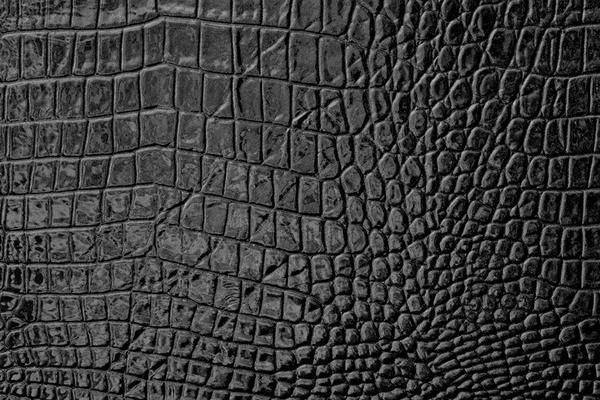 鱷魚皮哪個部位最好 真假鱷魚皮怎么鑒別