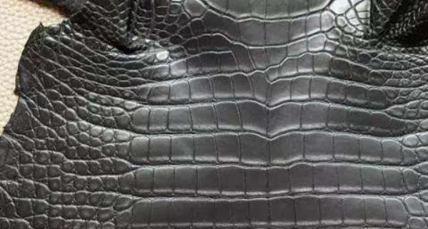 鱷魚皮哪個部位最好 真假鱷魚皮怎么鑒別