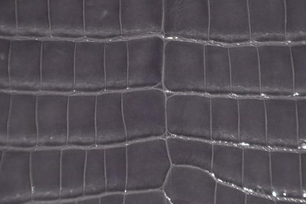 鱷魚皮哪個部位最好 真假鱷魚皮怎么鑒別