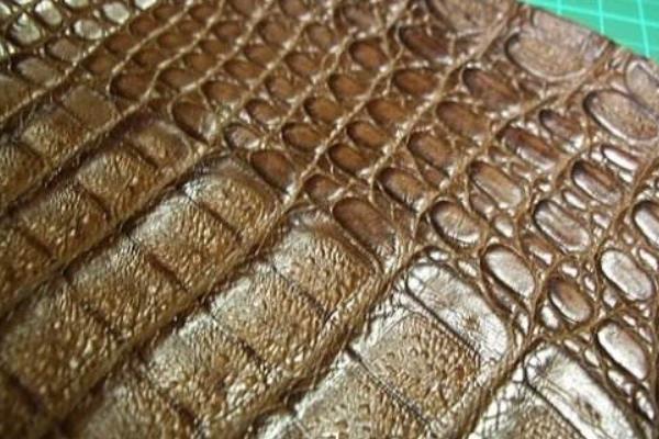 鱷魚皮哪個部位最好 真假鱷魚皮怎么鑒別