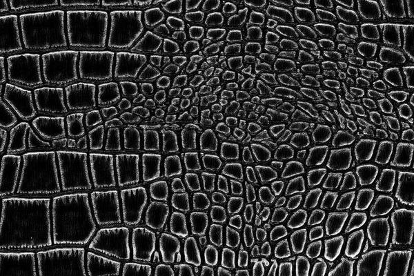 鱷魚皮哪個部位最好 真假鱷魚皮怎么鑒別