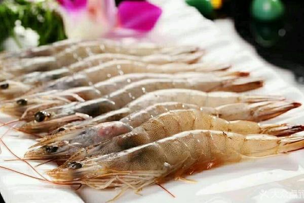 基圍蝦熱量是多少 基圍蝦是涼性的嗎