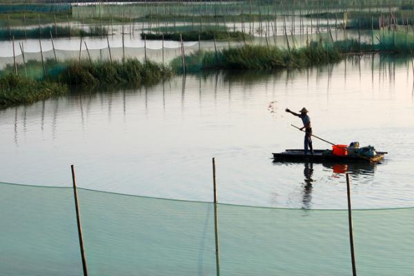 新型青蟹養殖技術 青蟹淡水怎么養