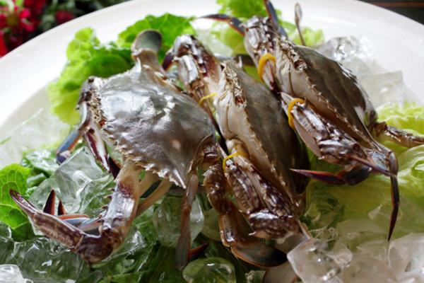 花蟹和梭子蟹的區別是什么 花蟹和梭子蟹哪個好吃