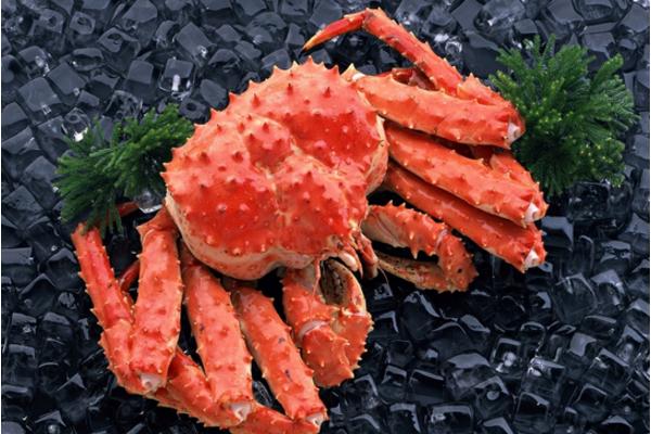 最大的帝王蟹有多大 帝王蟹怎么處理干凈