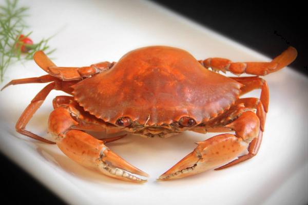 油蟹和帝王蟹的區別是什么 帝王蟹是寒性的嗎