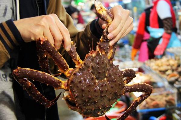 油蟹和帝王蟹的區別是什么 帝王蟹是寒性的嗎