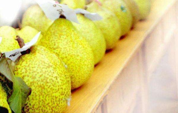 萊陽梨市場價格多少錢一斤 萊陽梨的選購技巧