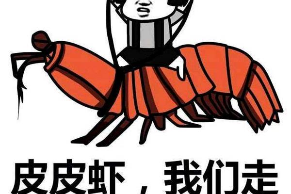 皮皮蝦我們走是什么梗 皮皮蝦我們走后面一句是什么