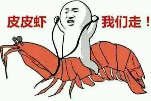 皮皮蝦我們走是什么梗 皮皮蝦我們走后面一句是什么