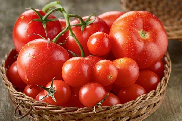 圣女果和西紅柿的區別是什么 圣女果吃多了好嗎