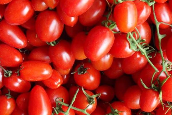圣女果和西紅柿的區別是什么 圣女果吃多了好嗎