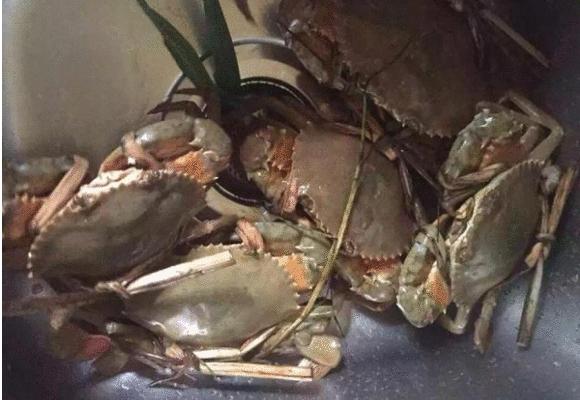 青蟹怎么做好吃又簡單 青蟹的家常做法大全