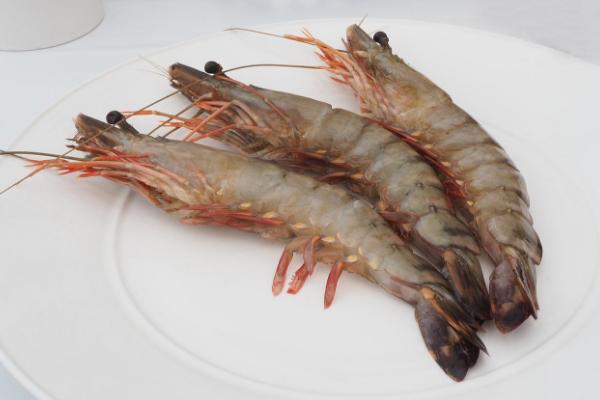 如何養(yǎng)蝦不會死 養(yǎng)蝦用什么水