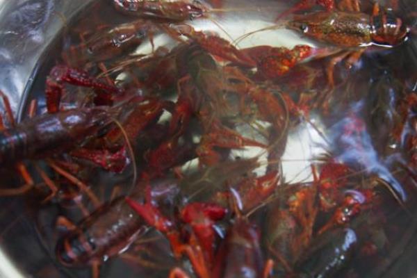 小龍蝦怎么清洗干凈 自己在家怎么做小龍蝦