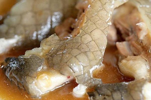 鱷魚肉怎么吃 鱷魚肉能吃嗎