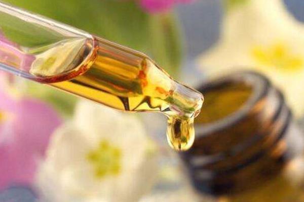 鱷魚油的功效與作用及禁忌 哪些人不能用鱷魚油