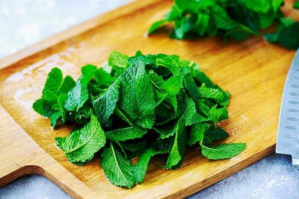 薄荷炒雞蛋的功效 薄荷炒雞蛋的做法