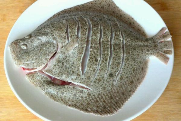 多寶魚和鱸魚哪個好 鱸魚好吃嗎