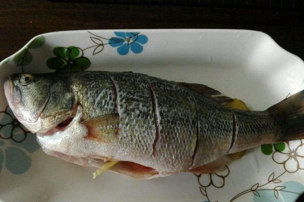 多寶魚和鱸魚哪個好 鱸魚好吃嗎